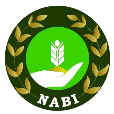 NABI Logo